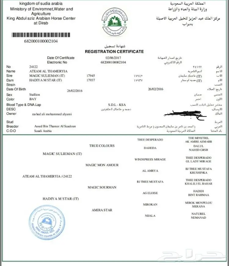 مهر عربي اصيل اوراق للبيع حصان (image 2)