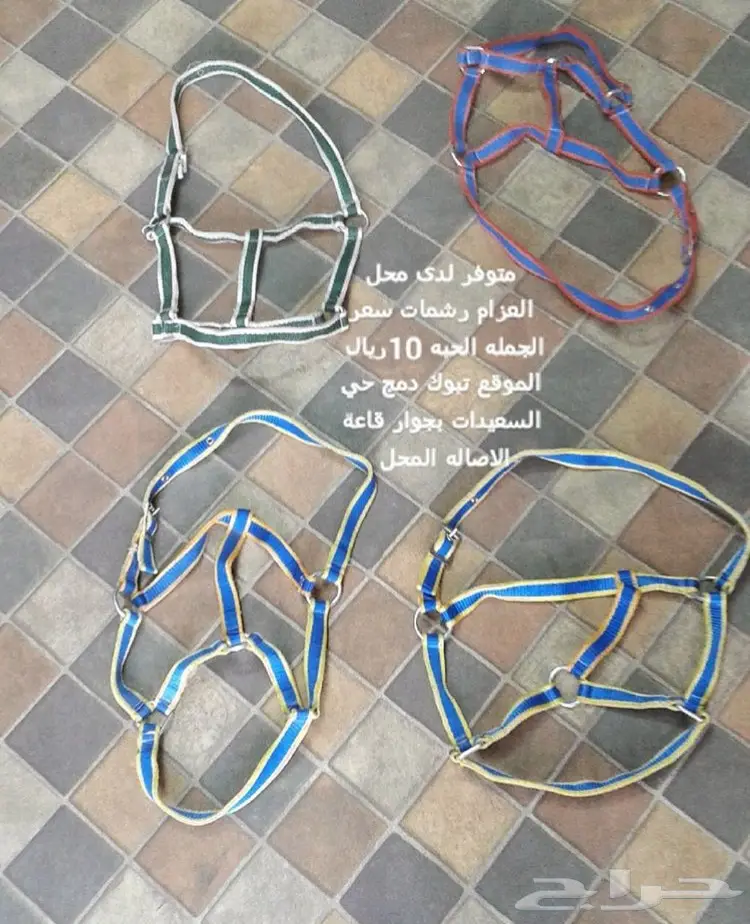 مستلزمات فروسيه للبيع  (image 3)