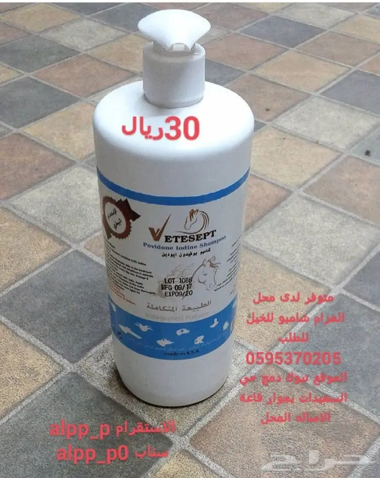 مستلزمات فروسيه للبيع  (image 1)