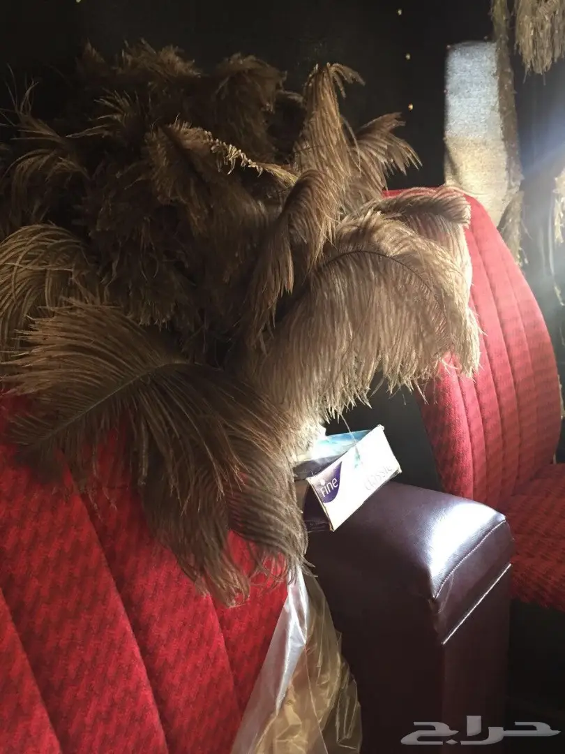 للبيع مرسيدس عايدي (image 6)