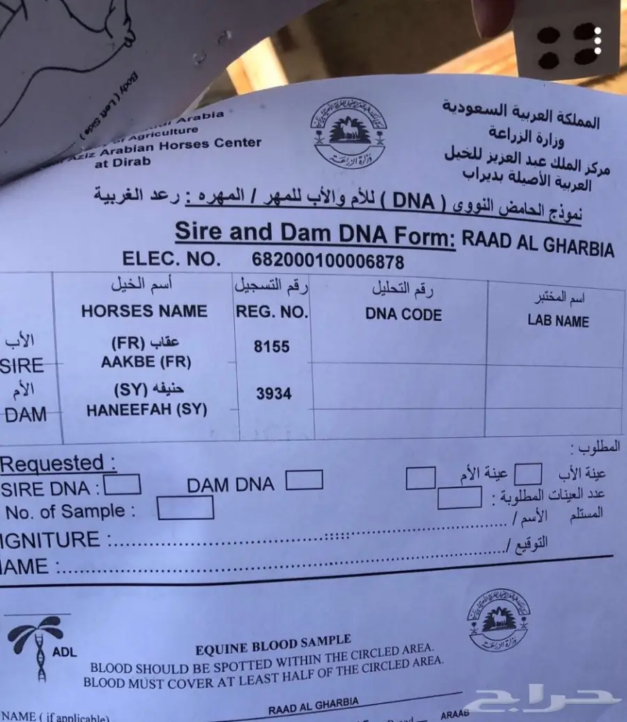 مهر عربي اصيل خط  فرنسي سرعة