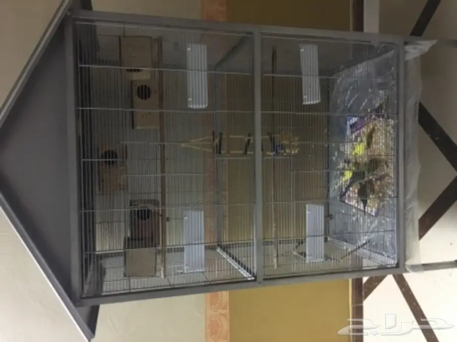 مطير كبير مع 7 طيور بادجي 