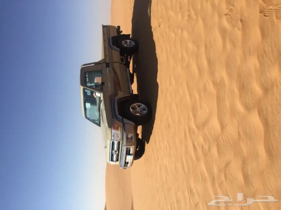 عشر من الإبل مجاهيم مع فحلها