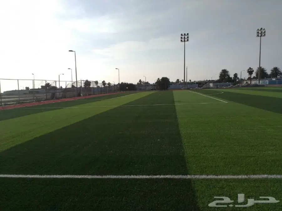 عشب صناعى 0563884006 (image 23)