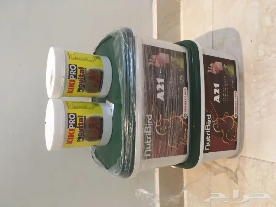 فرخ كوكاتو سلفر حجل 2017 (image 7)