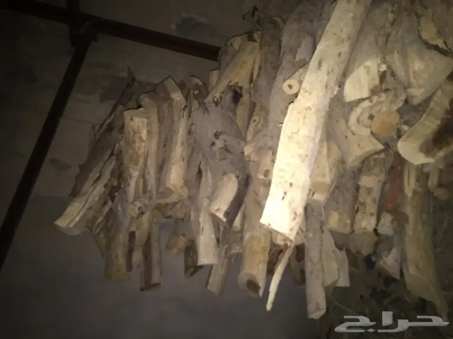 ح ط ب سسمر طلح (image 1)