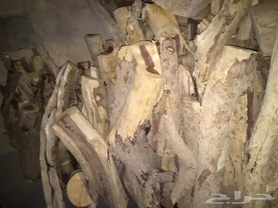 ح ط ب سسمر طلح (image 2)