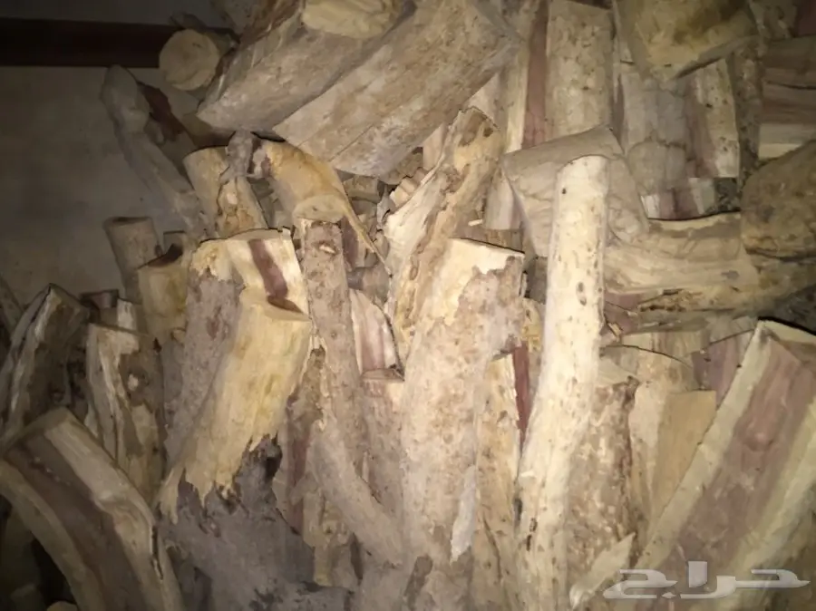 ح ط ب سسمر طلح (image 3)