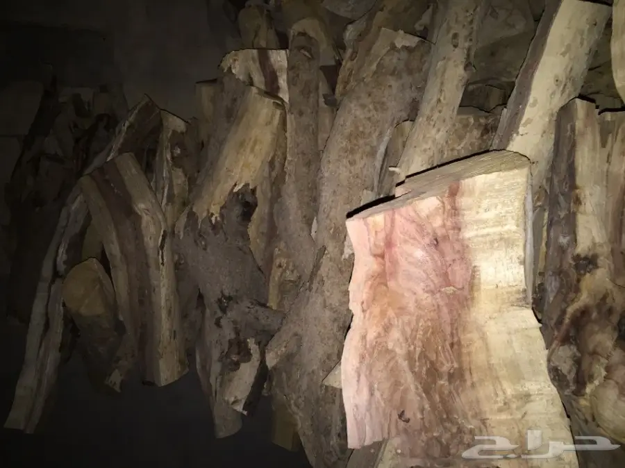 ح ط ب سسمر طلح (image 4)