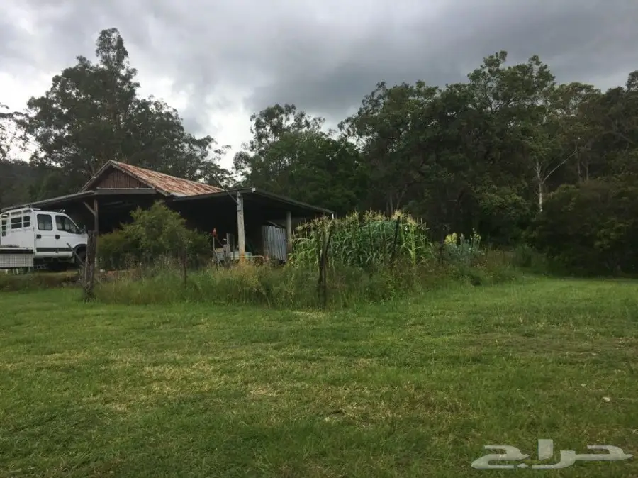 عسل استرالي طبيعي للبيع (فرصة مؤقتة)  (image 2)