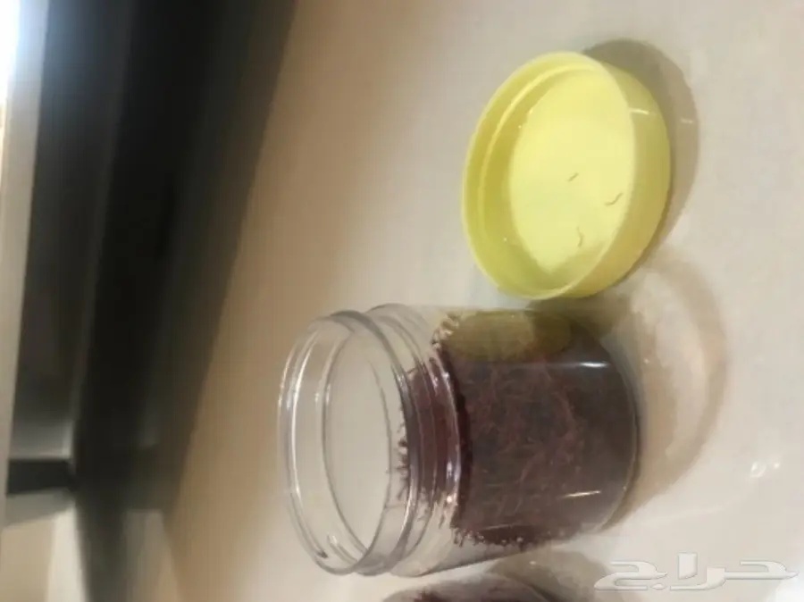 زعفران إيراني أصيل - جودة استثنائية! (image 1)