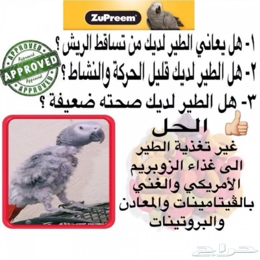زوبريم أمريكي أصلي - خضار وفواكه طازجة! (image 9)