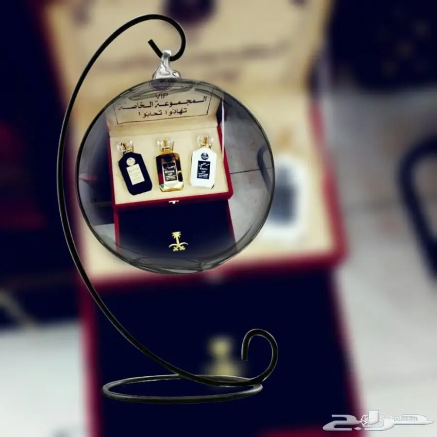 بسم الله مزاد مزاد مزاد اليوم 30-12 -2017 (image 3)