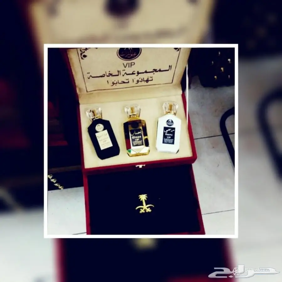 بسم الله مزاد مزاد مزاد اليوم 30-12 -2017 (image 4)