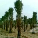 زراعه (image 9)