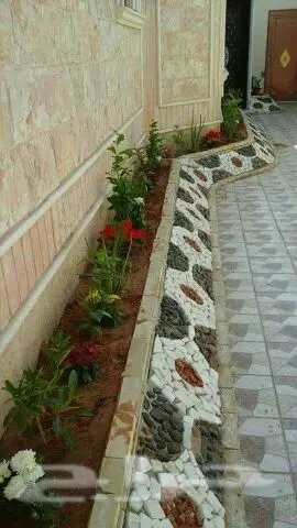 زراعه (image 6)