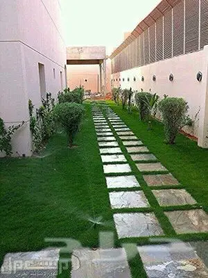 زراعه (image 5)