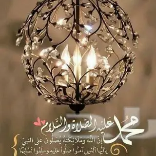 للبيع غنم نجد و رفد (الطائف) (image 7)