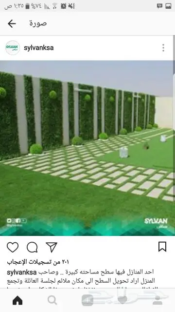 0566408137  مشتل  درة الجزيرة  (image 10)