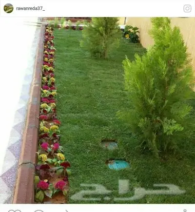 زراعه (image 7)