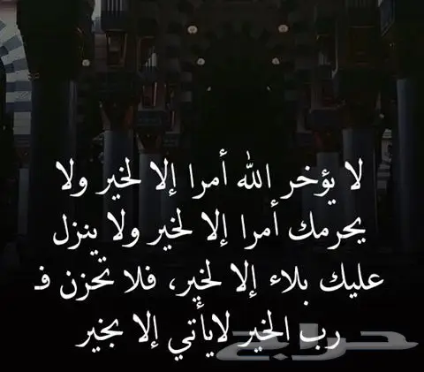 نقل طلاب حي الفيحاء الي النسيم (image 1)