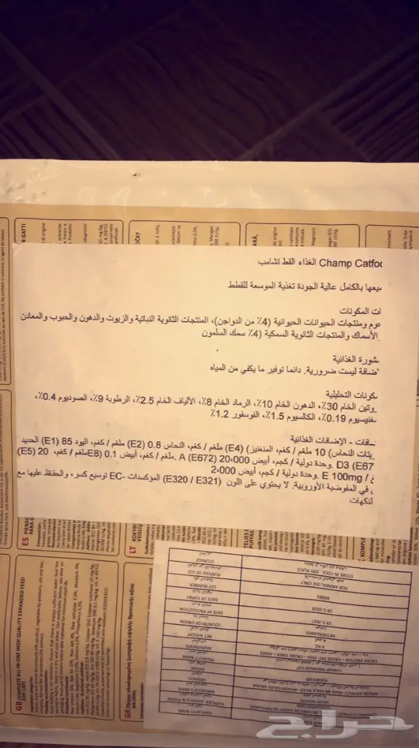 قطه شيرازيه للبيع (image 4)