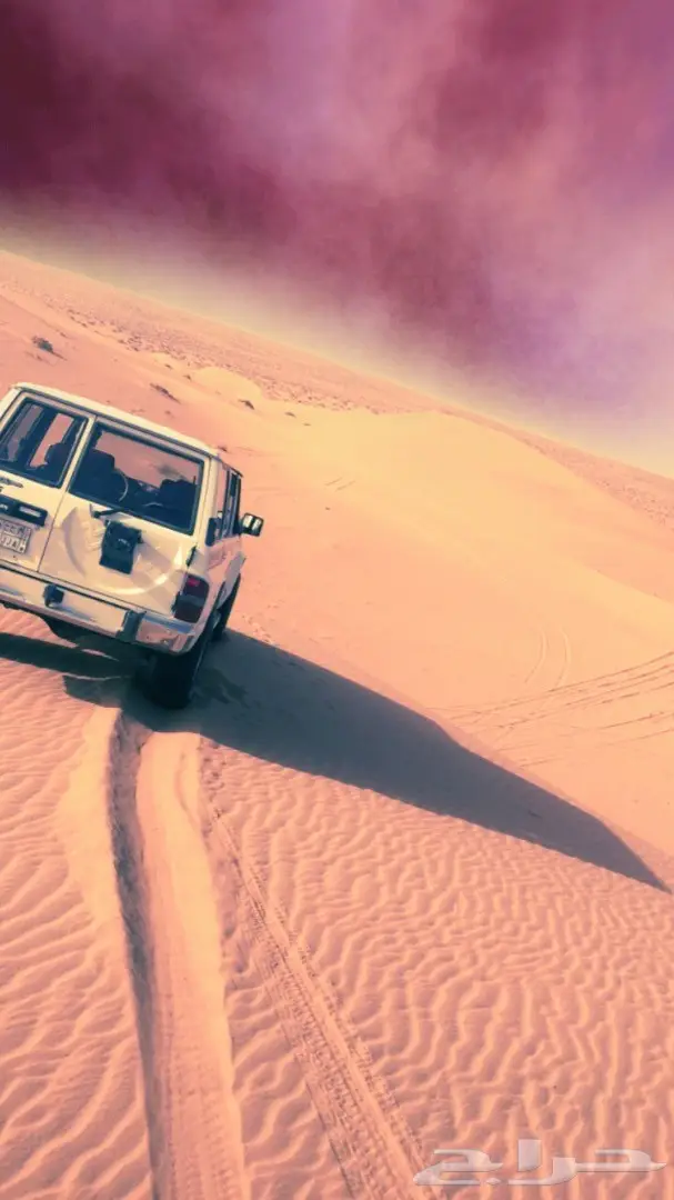 جيب نيسان للبيع موديل 95 (image 6)