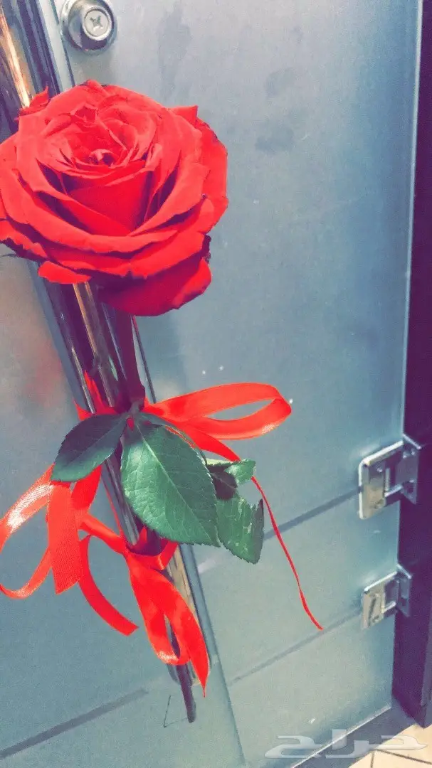 روفال الورد لتنسيق الحفلات باالمطاعم والفنادق (image 1)