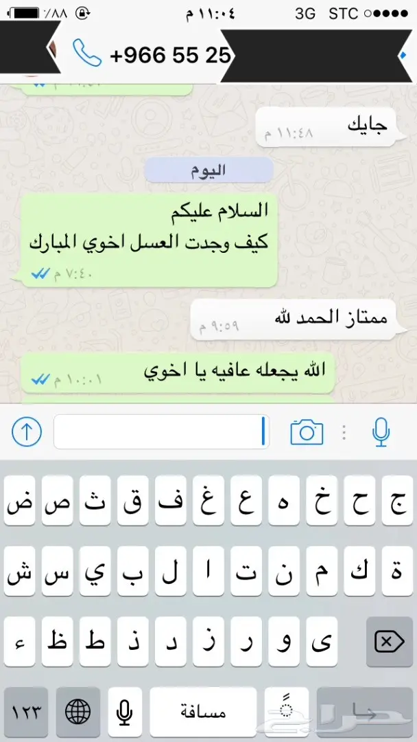 عسل طبيعي وغذاء ملكات: شفاء طبيعي لأسرتك (image 56)