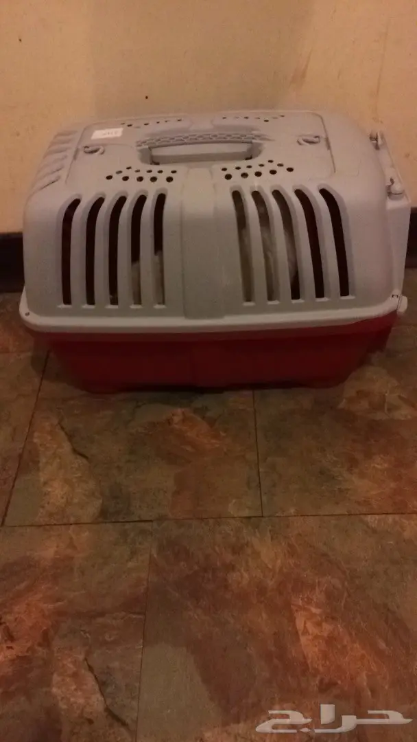 بسة شيرازي  (image 1)