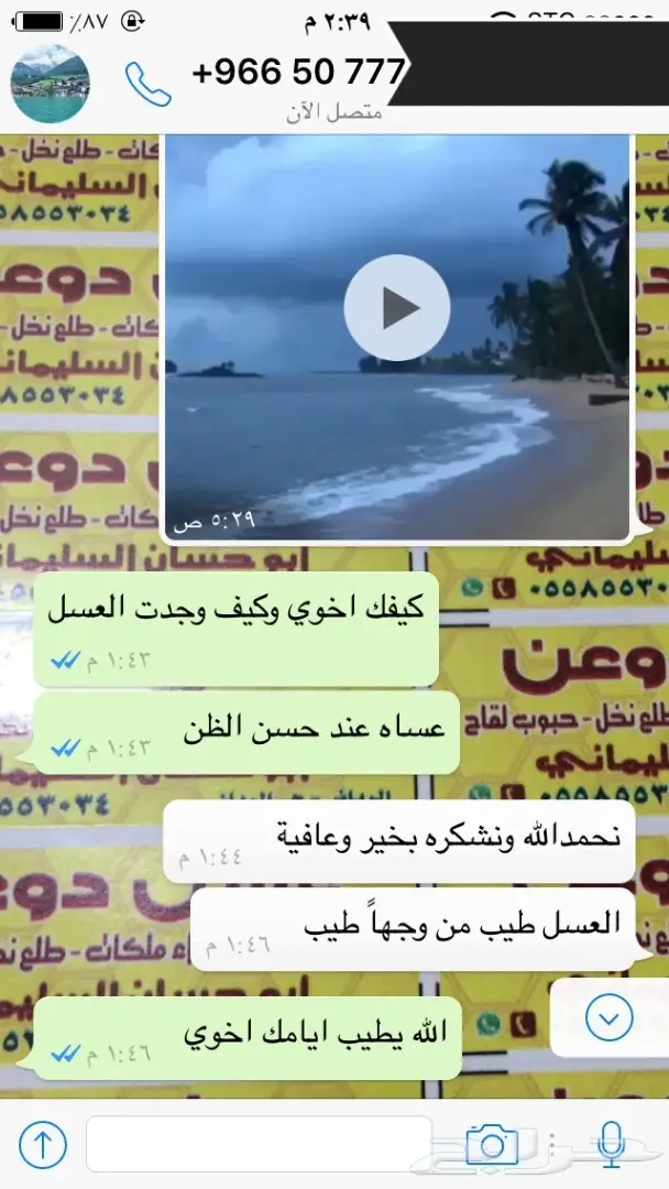 عسل طبيعي - غذاء ملكات( فيه شفاء للناس ) (image 82)