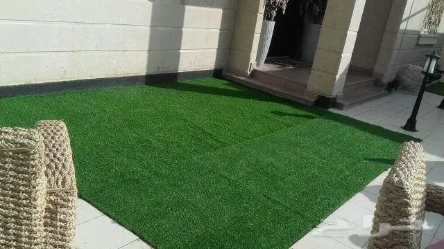 0566408137  مشتل  درة الجزيرة  (image 5)