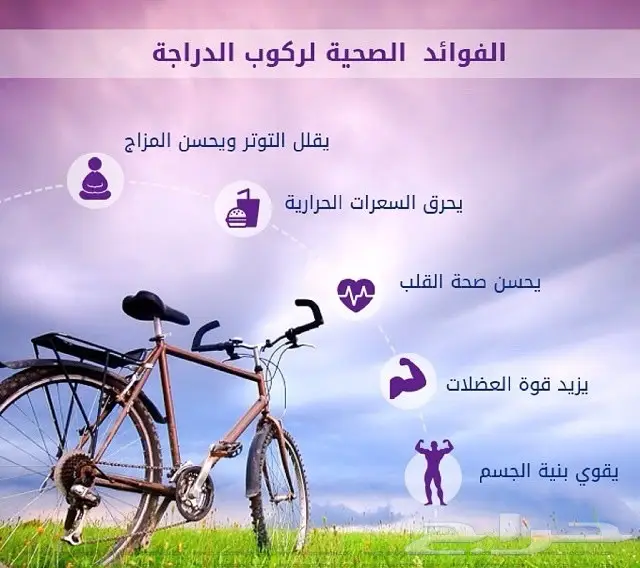 دراجات قابله للطي(750ريال) هدايا (image 22)