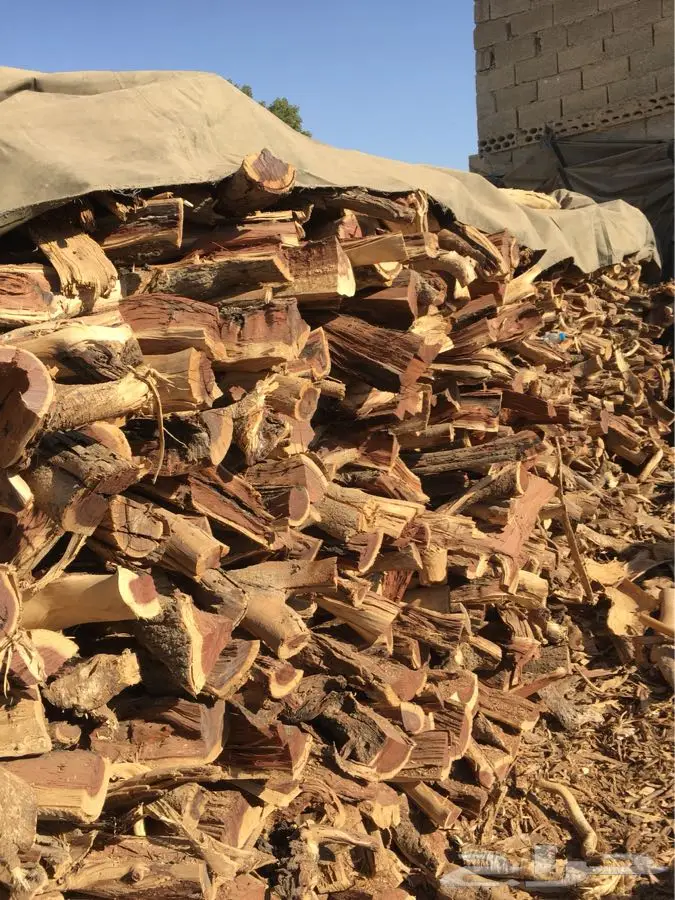 سمر مدينتي - شلايخ على الشرط!} (image 4)