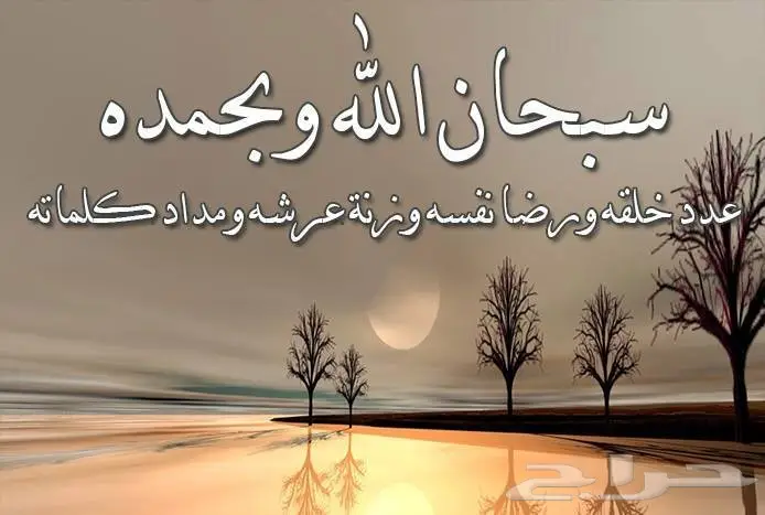 نقل طلاب حي الفيحاء الي النسيم