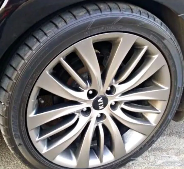 جنوط جنسس وكالة