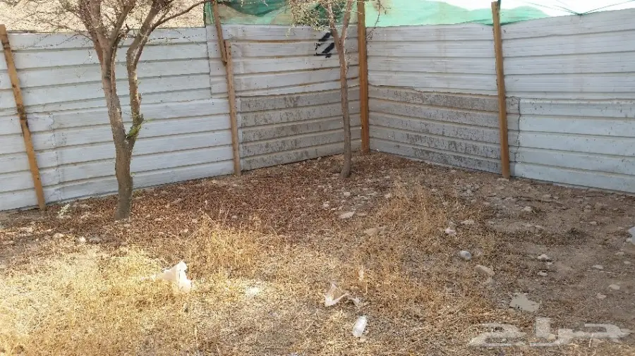 اغراض حوش مرابيع شينكو مظله  (image 1)