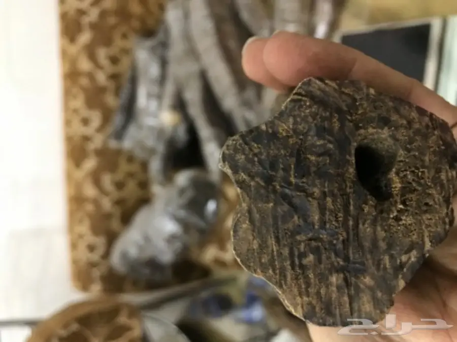 قطع عود جميلة سعر الجرام 5 ريال  (image 4)