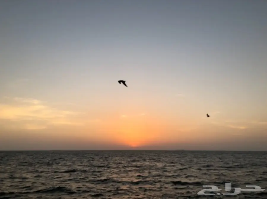 شاب يمني يبحث عن عمل 