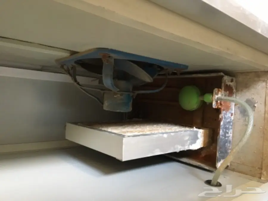 فقاسه صينيه للبيع (image 2)