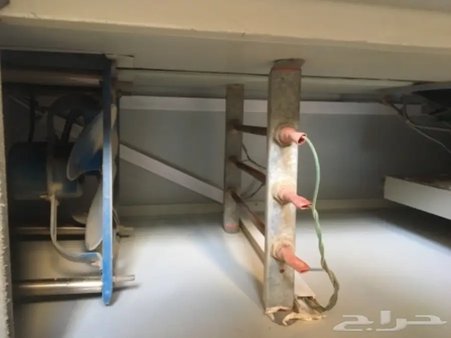 فقاسه صينيه للبيع (image 3)