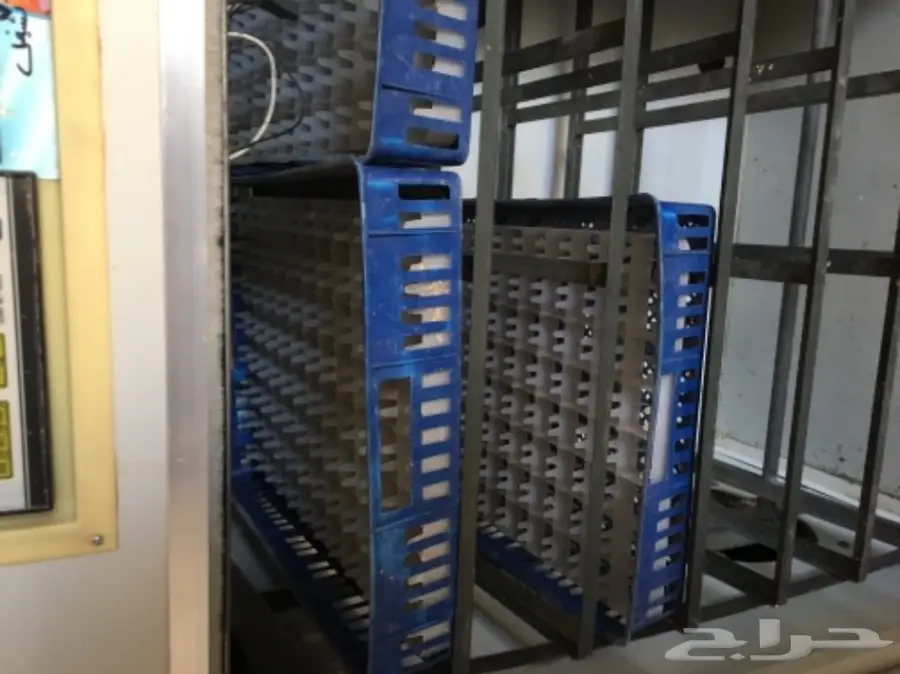 فقاسه صينيه للبيع (image 7)