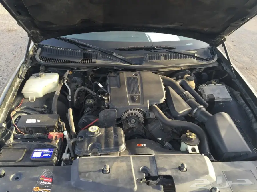 لينكون (image 6)