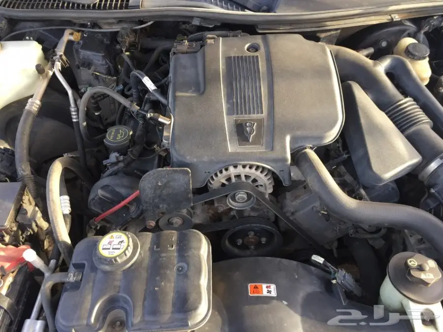 لينكون (image 7)