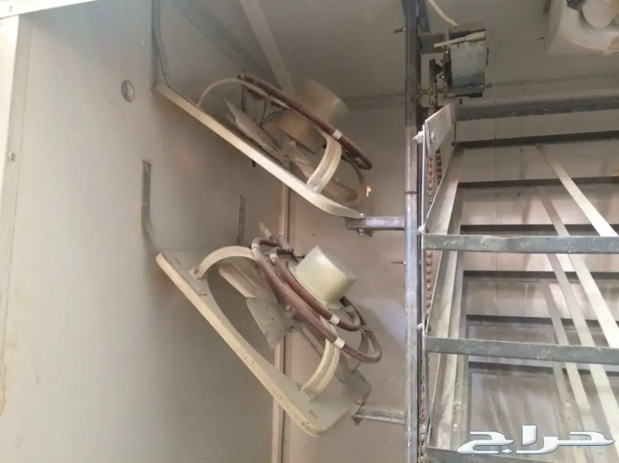 فقاسة فل اتوماتيك 2112 بيضة بحاضنه صوص (image 2)