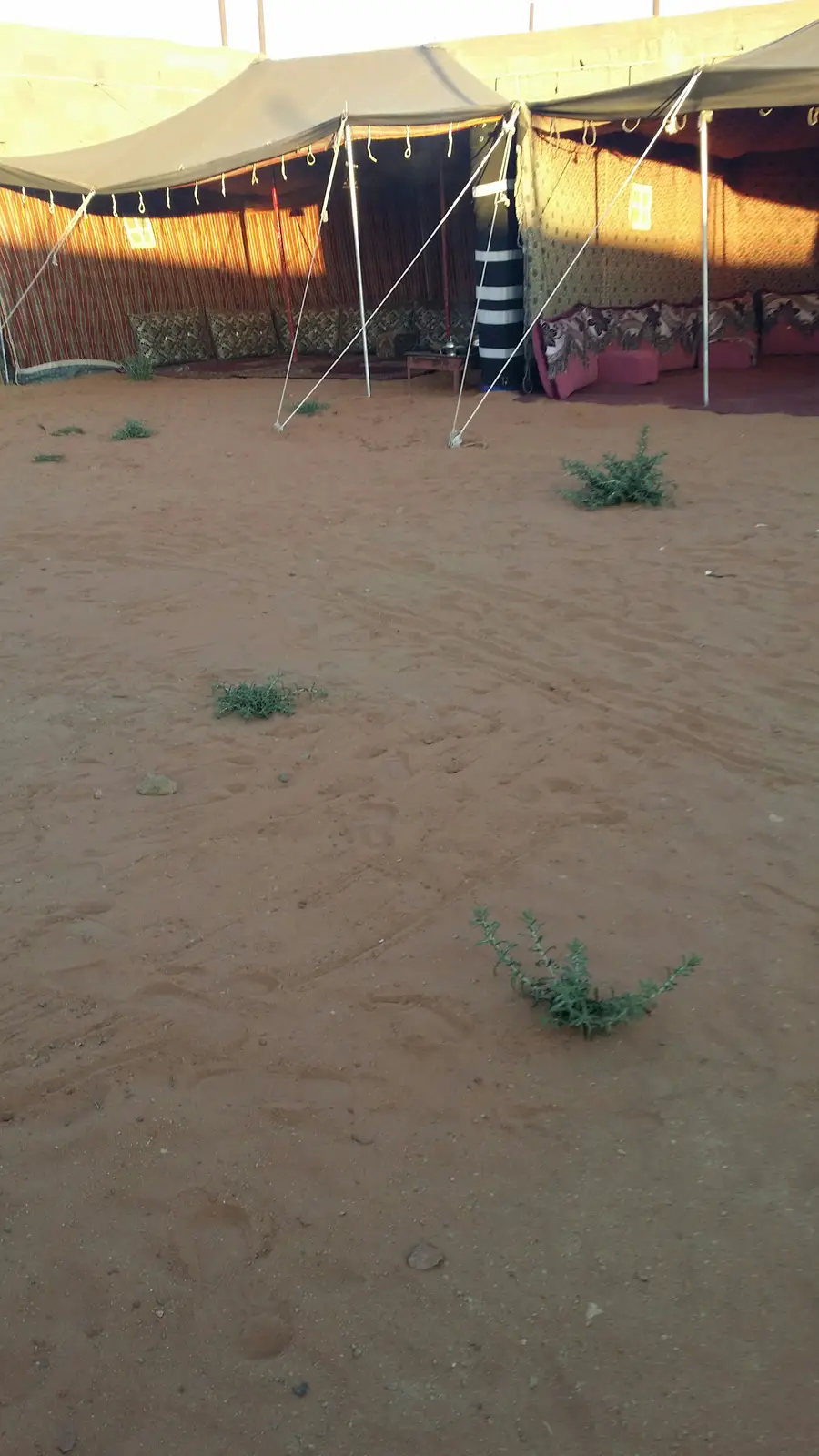 استمتع بإجازة شتوية لا تُنسى! (image 16)