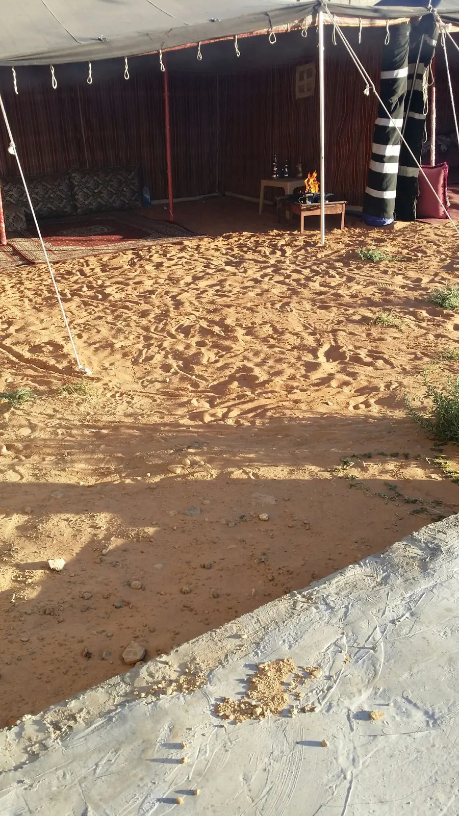 عرض شتوي لا يقاوم: منتزه ومخيم للإيجار (image 30)