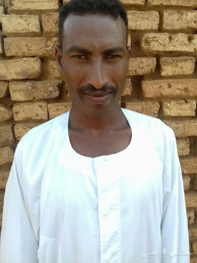 راعي غنم ابل سوداني
