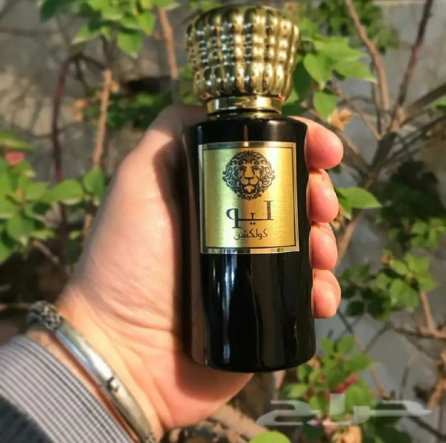 اختر عطرك المفضل ب35 ريال (image 1)