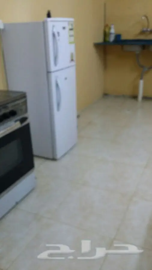 منتجع ومخيم للإيجار اليومي - متعة لا تُضاهى! (image 3)